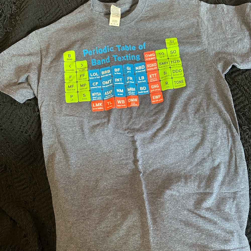 Gildan Dark Gray T-Shirt with Band Texting Graphic
